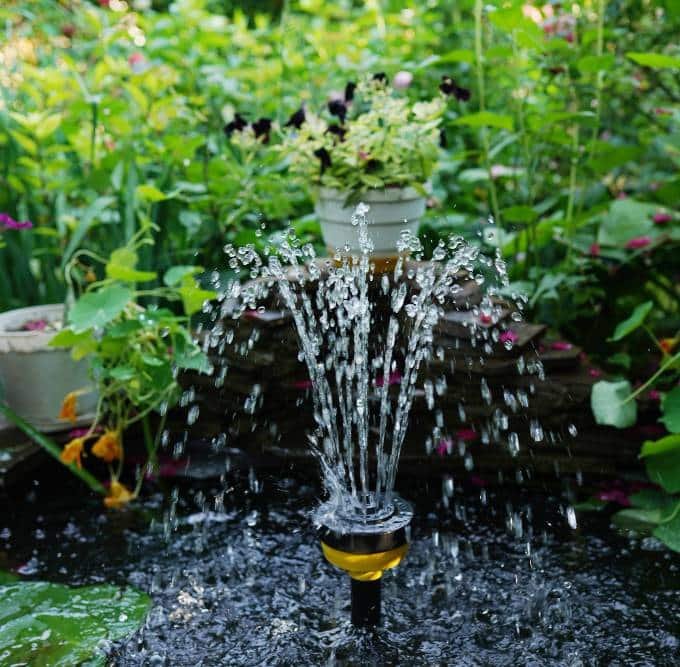 a front yard garden of house with water fountain
