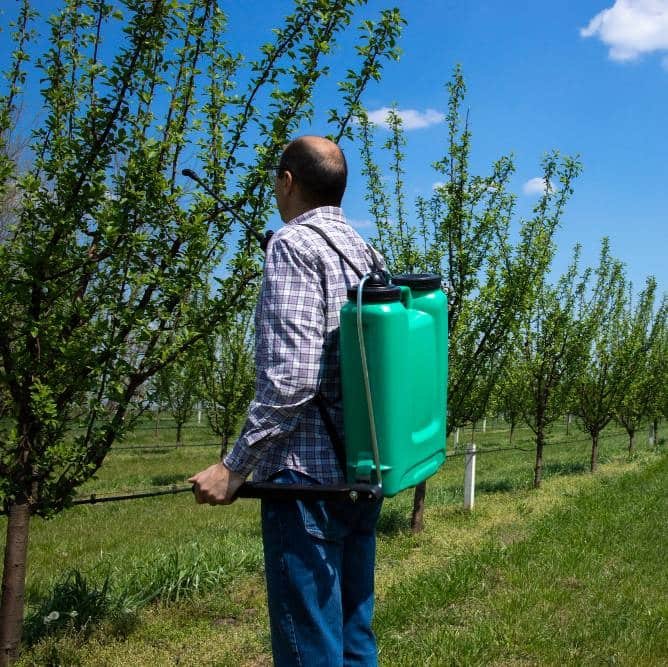 a man treating apple trees with pesticides