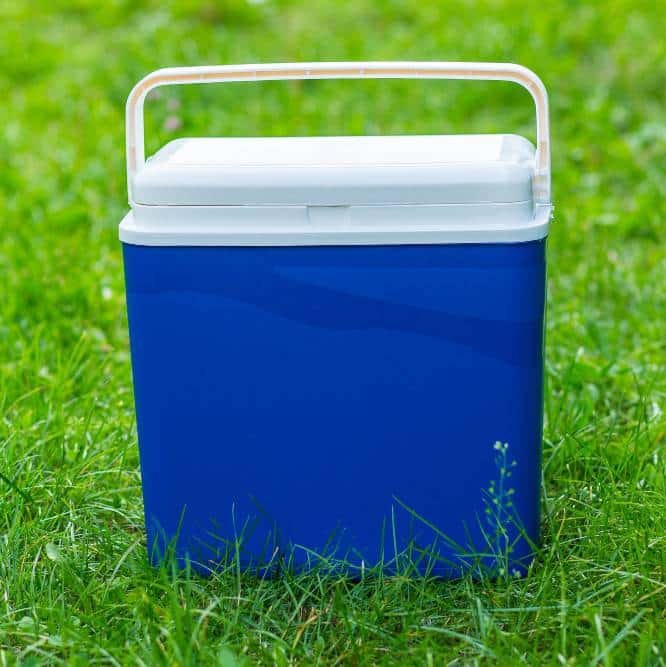 a refrigerator bag on the grass
